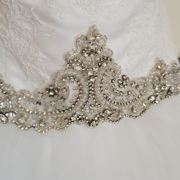 DaVinci Wedding Ballgown - Picture 7 of 12